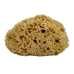 Echter Naturschwamm, Ø18-20 cm